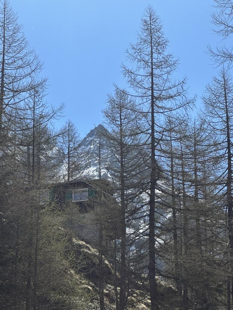 Vor den letzten zwei Kehren erspäht man das Buffet le Petit Paradis