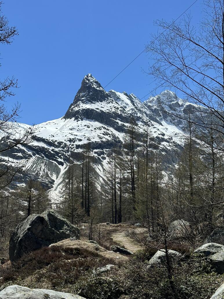 Letzter Blick zum Mont Miné