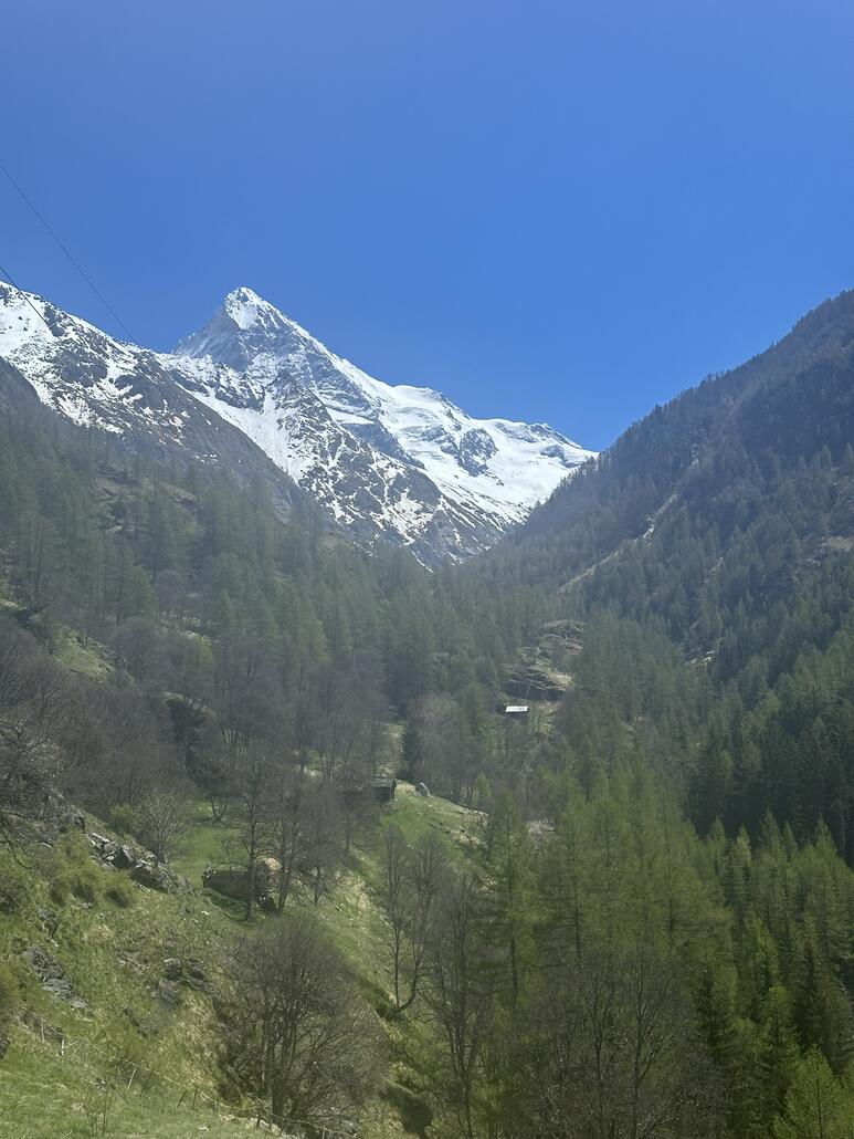 Rückblick zum Ferpecle Tal