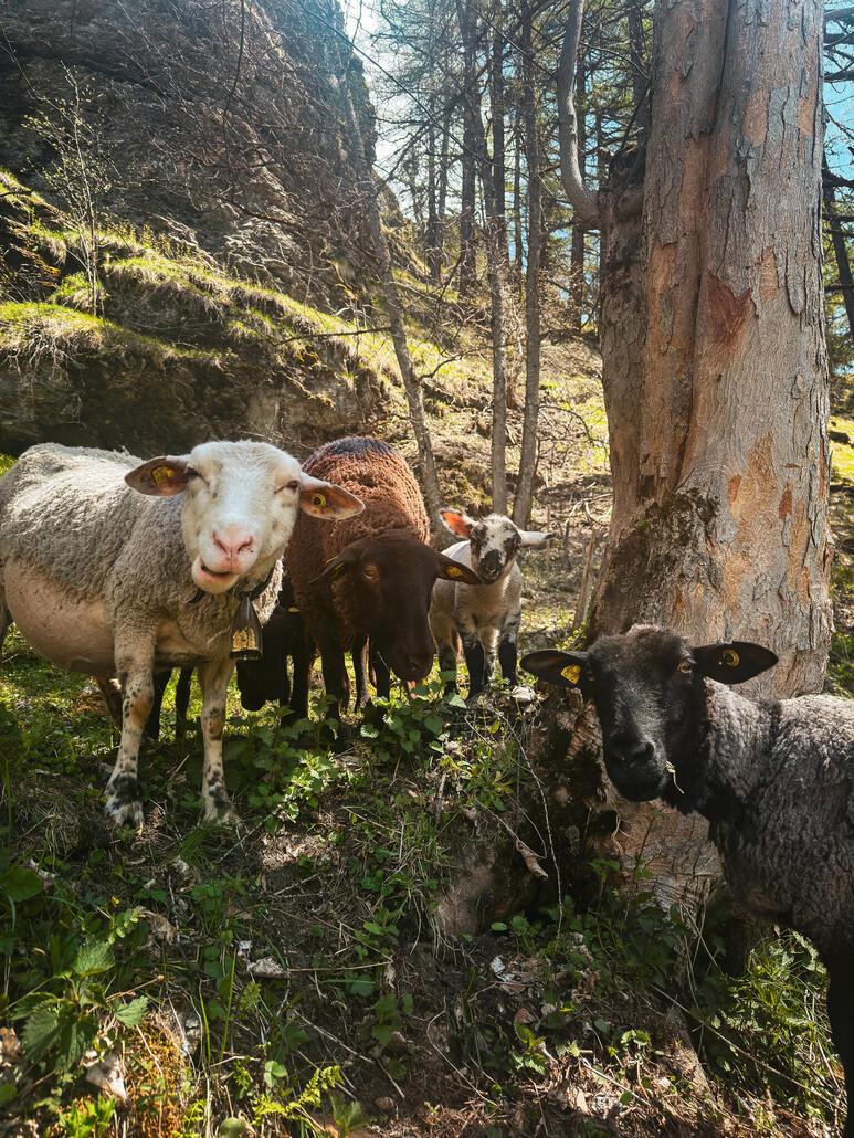 Noch ein Familienfoto