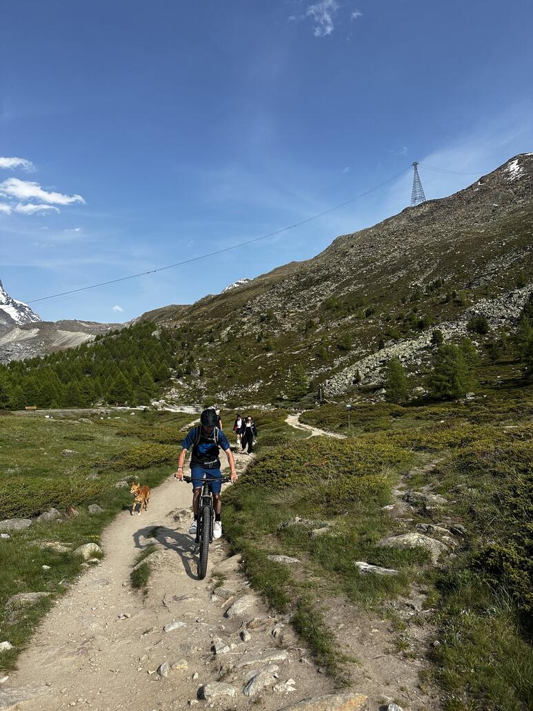 Alle auf den Weg....