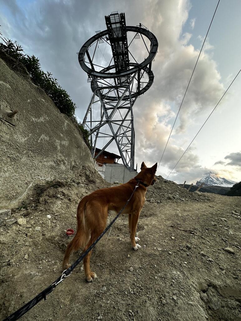 kurze Baustellenbesichtigung