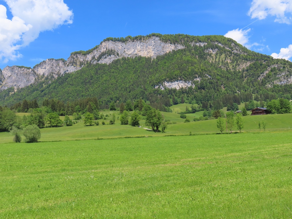 Niederkaiser von Litzlfelden