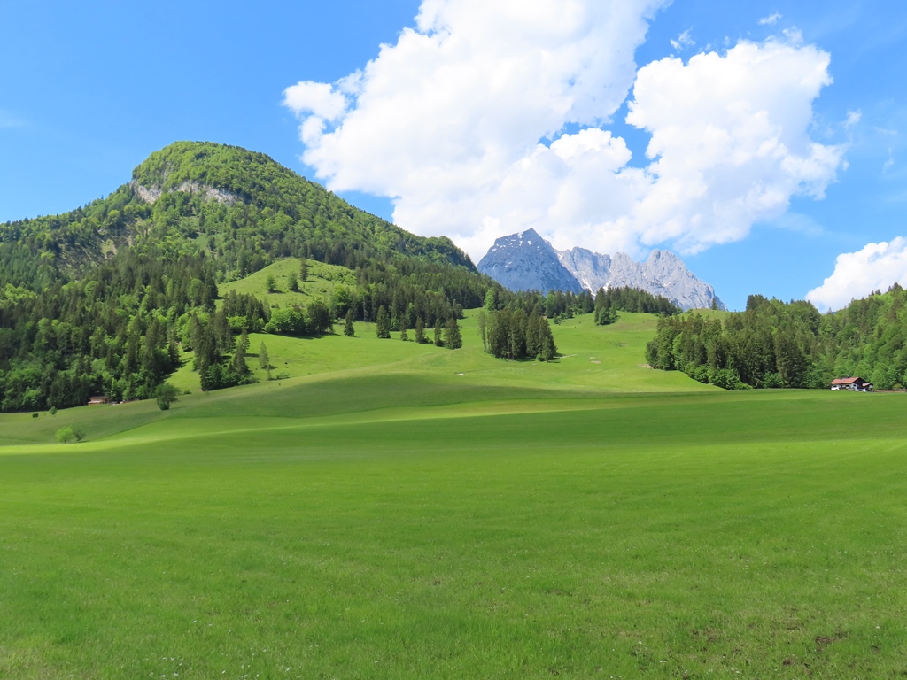 Niederkaiser und Wilder Kaiser