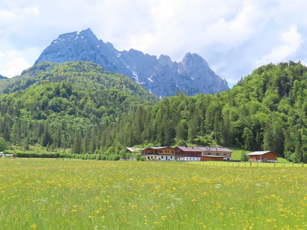 Wilder Kaiser von Griesenau