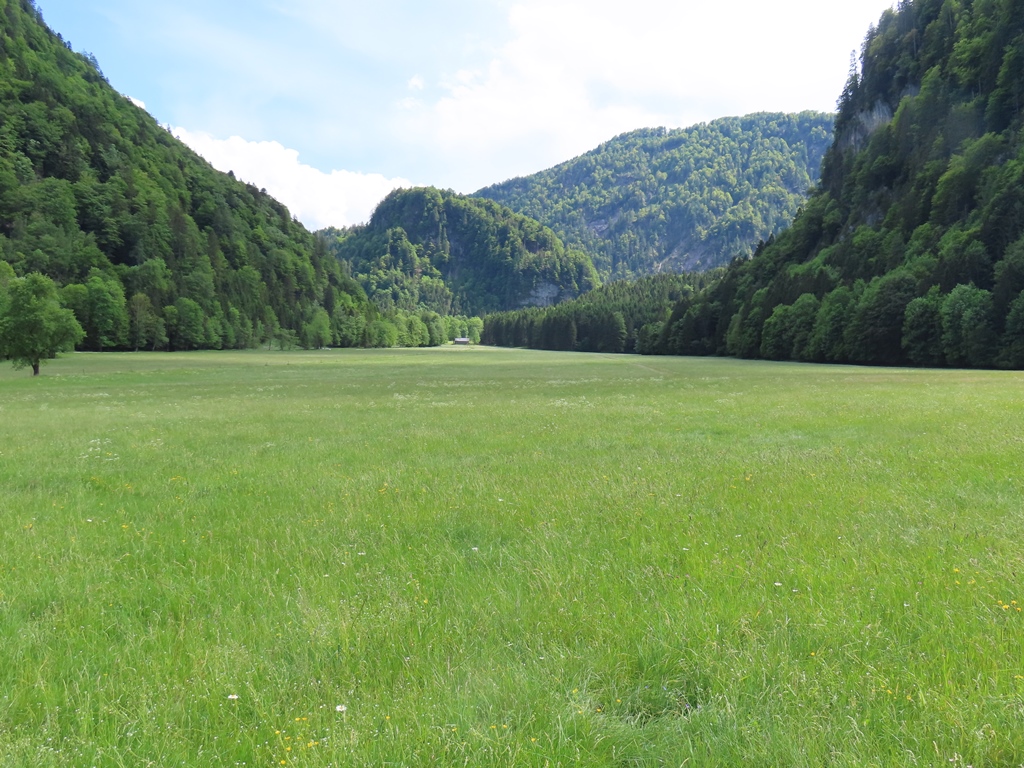 Kaiserbachtal talauswärts