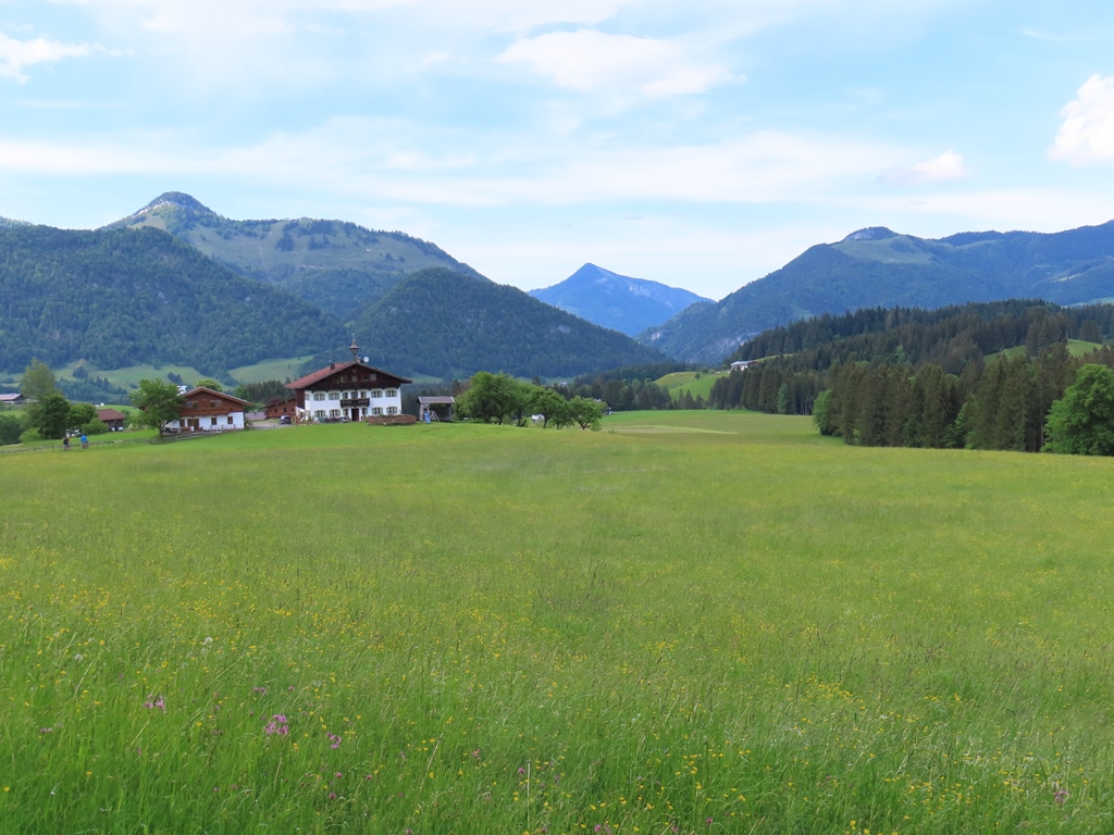 Voralpenberge nördlich der Linie Walchsee-Kössen
