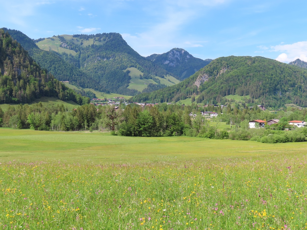 Berge in der Nähe des Walchsees