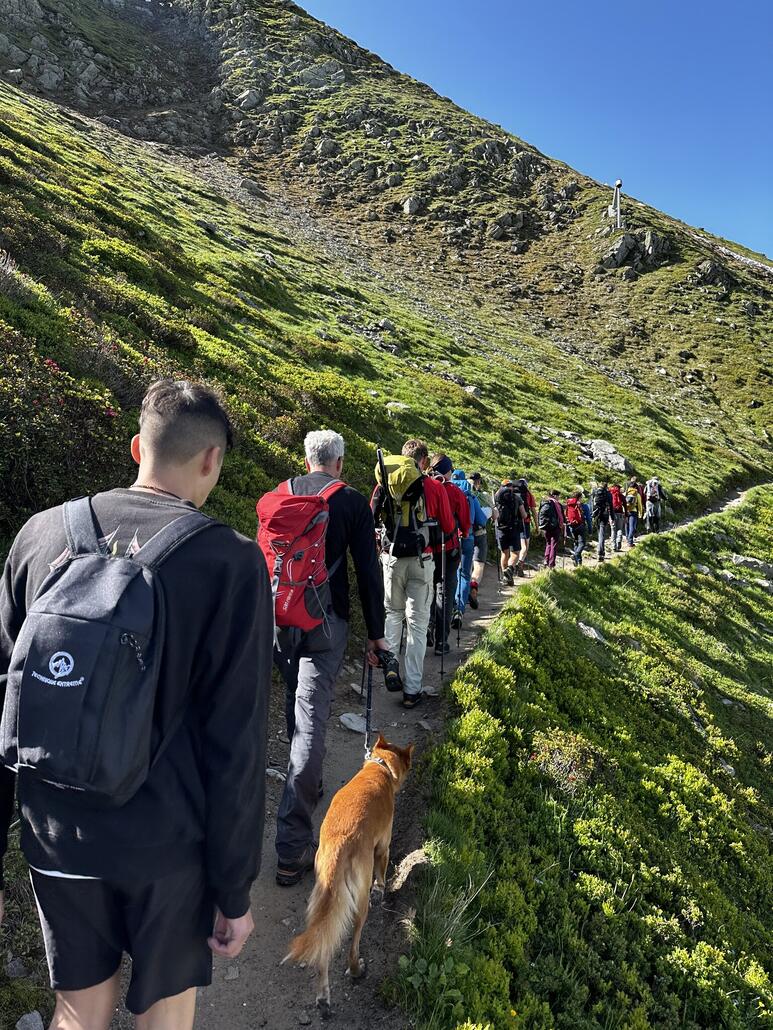 Mittlerweile hat sich ein Stau gebildet. Wir versuchen zu überholen