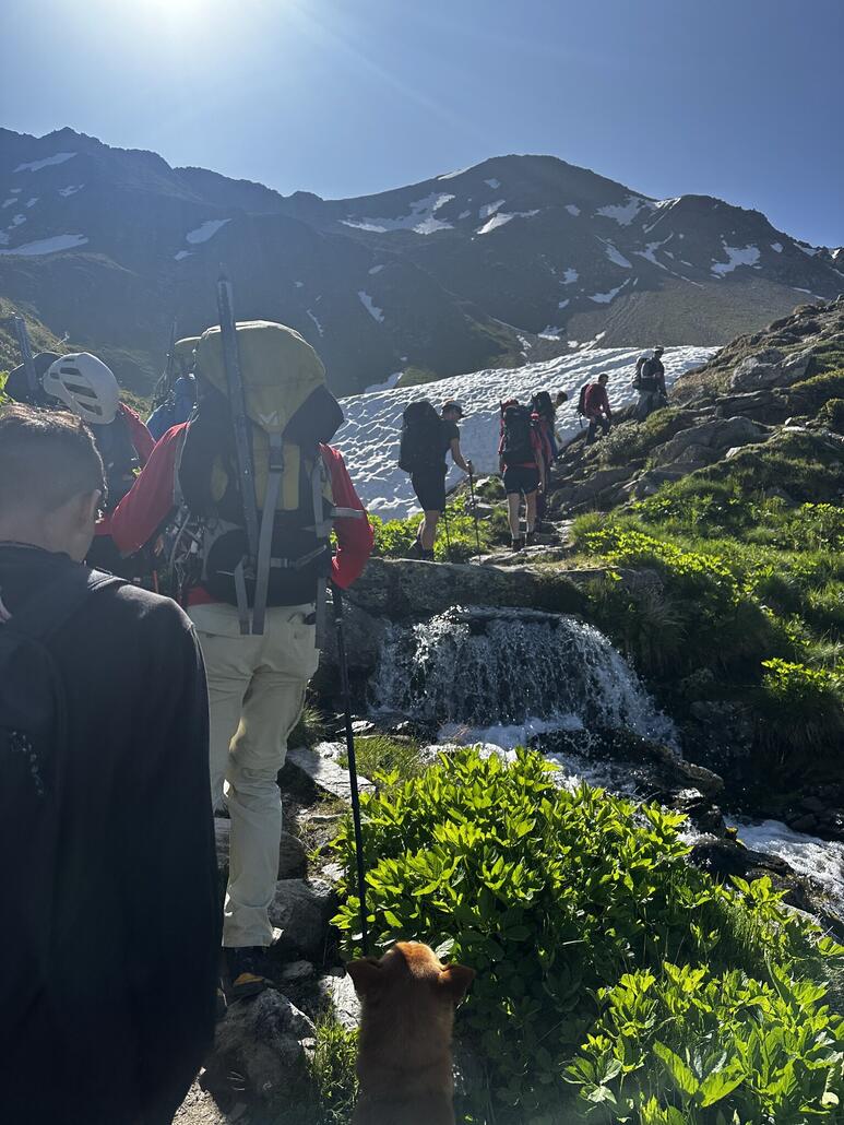 IMG_4703.JPG (590.27 KiB) 1178 mal betrachtet Dem Hund ist es auch zu langsam.