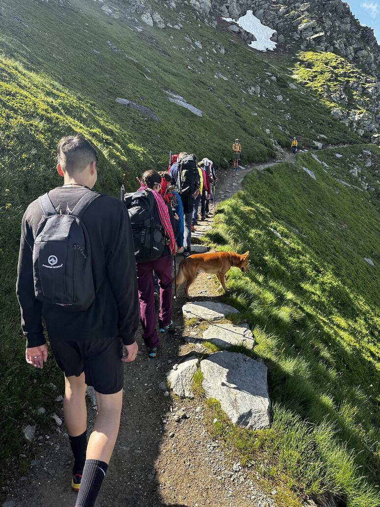 IMG_4712.JPG (1.03 MiB) 1190 mal betrachtet Jetzt gesellt sich der Hund zu den vorderen Wanderer