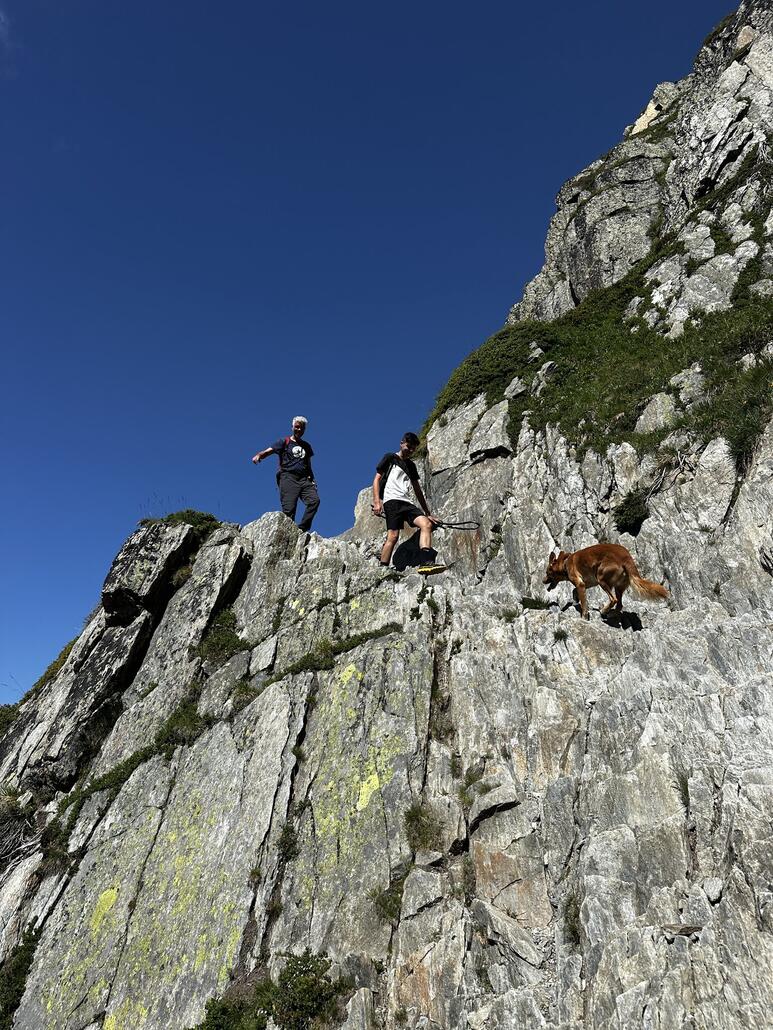 IMG_4728.JPG (1009.09 KiB) 1190 mal betrachtet Skype läuft den Weg gefühlt drei mal. Gut, er hat auch doppelt so viele Beine.