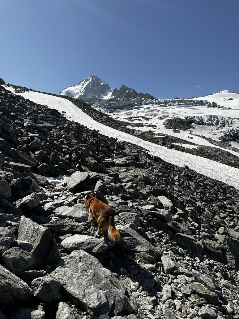 Der Weg führt nun über Moränenschottter