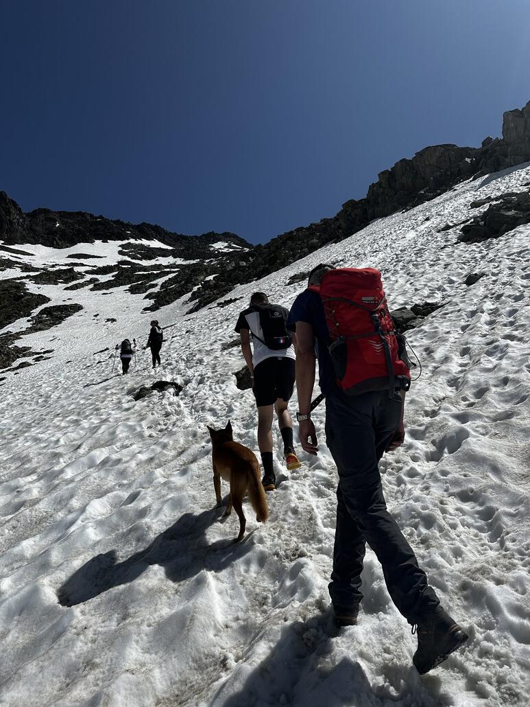 IMG_4756.JPG (724.87 KiB) 1190 mal betrachtet Am Schluss gibt es noch eine Serpentine