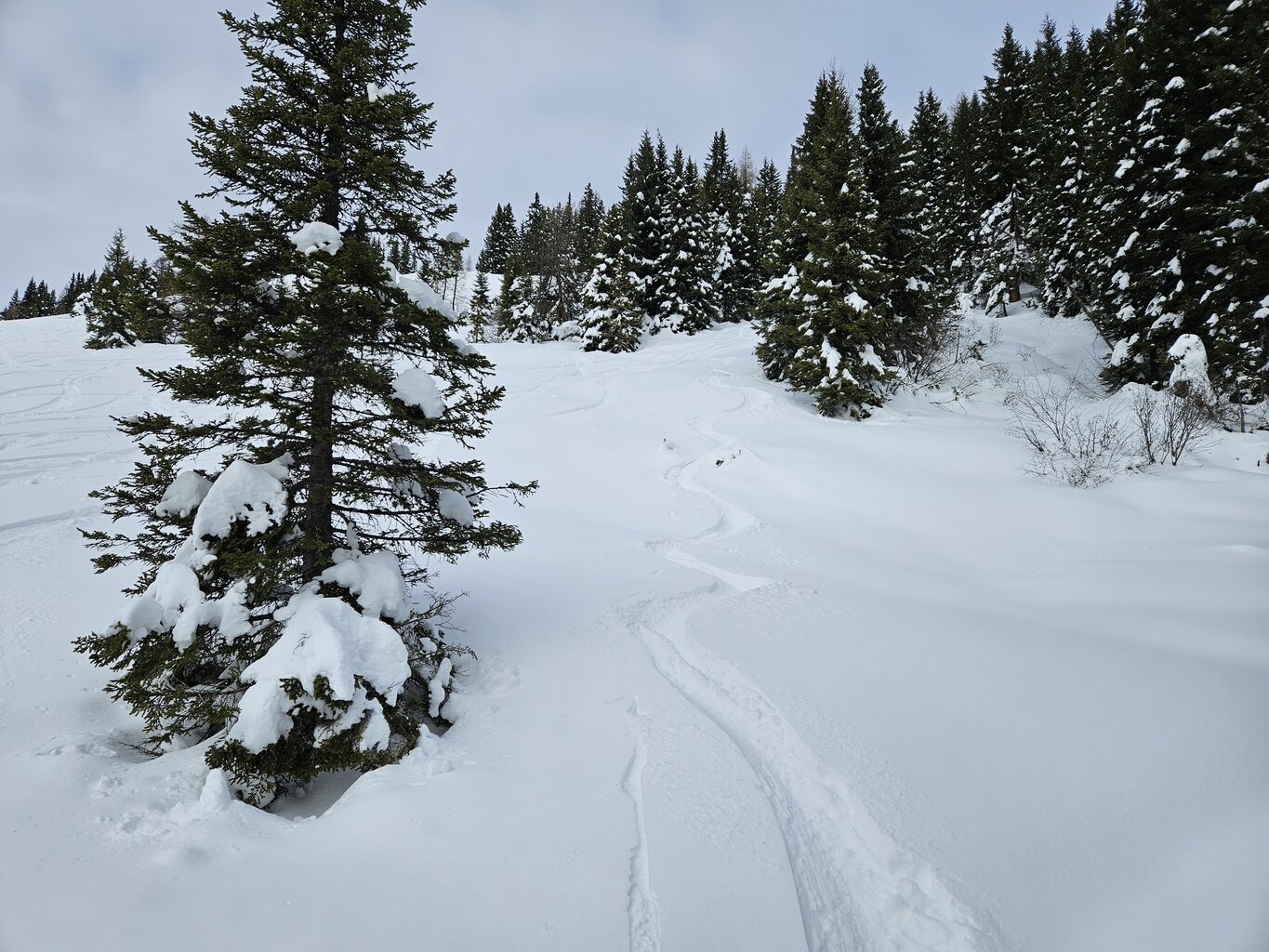 An der zweiten Sektion, der Family wurde hier und da noch was unverspurtes mitgenommen.