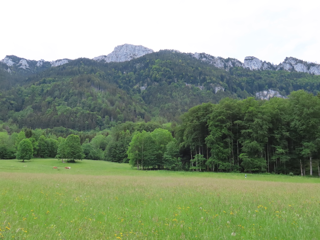 Bayerischzell Bernau 58.JPG