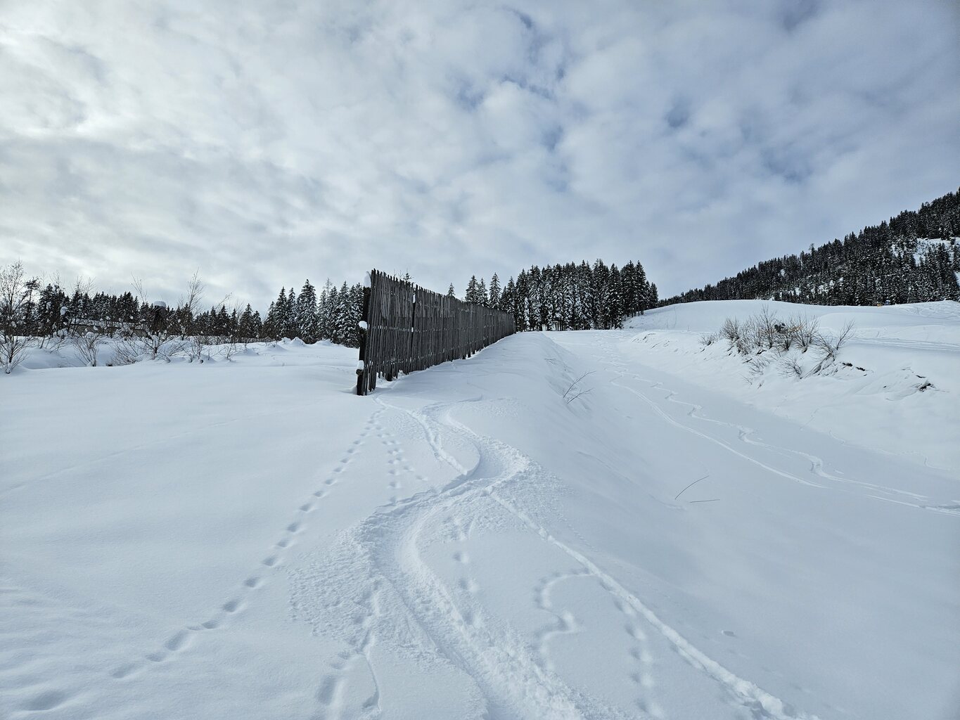 An der Halfpipe das beste Stück.