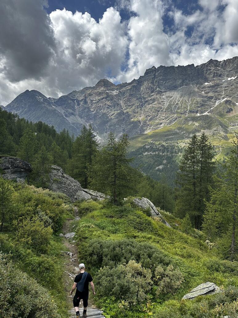 Es geht runter durch den Wald