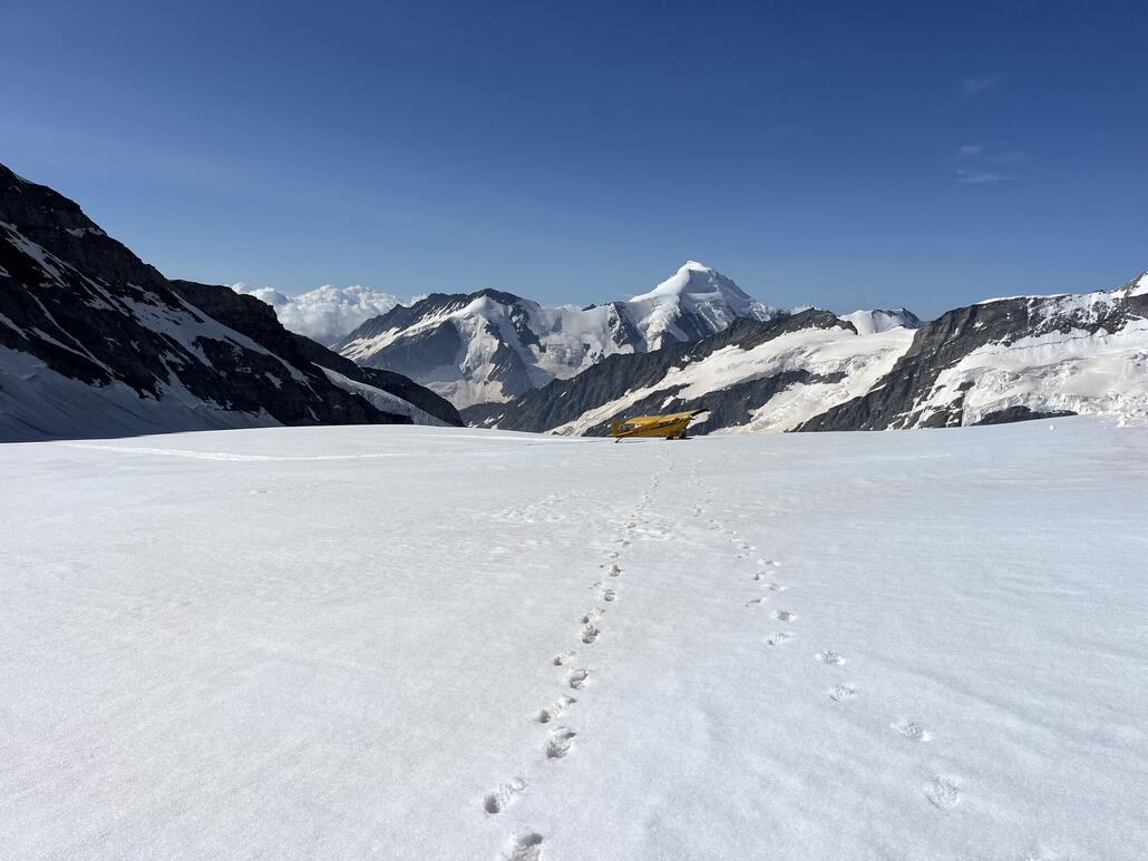 2024-07-18 09.21.20.jpg