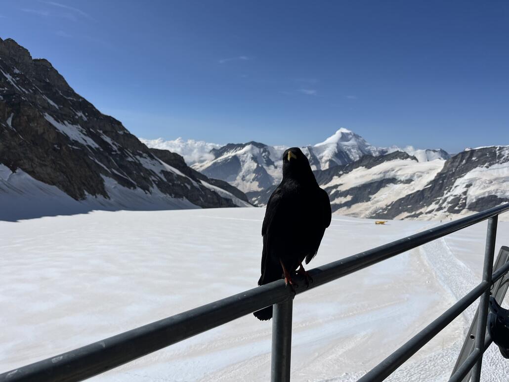 2024-07-18 10.17.23.jpg