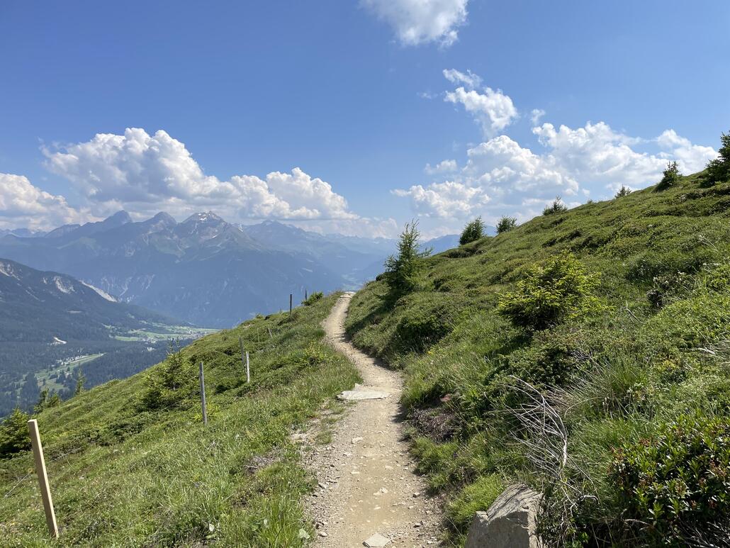 Der Trail ist mal mehr, mal weniger entspannt. Hier ist eine gemütliche Phase zu sehen. Wobei der Top Fops-Trail durchaus technisch anspruchsvolle Passagen aufweist und keine Anfängerabfahrt ist.