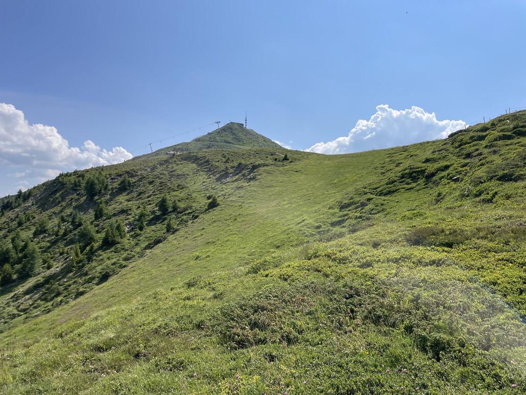 Nach der June Hütte kreuzt man die rote FIS-Piste.