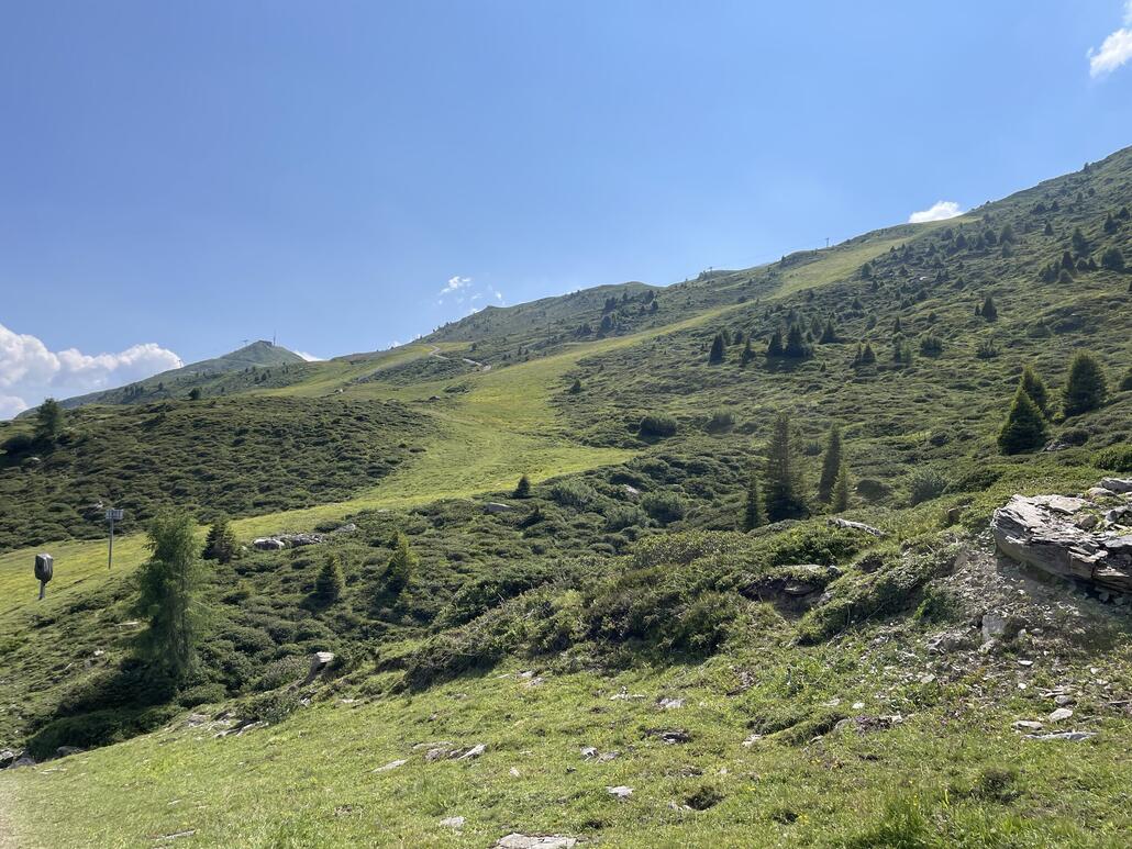 ...in den Bereich der roten Piste am Gertrud.