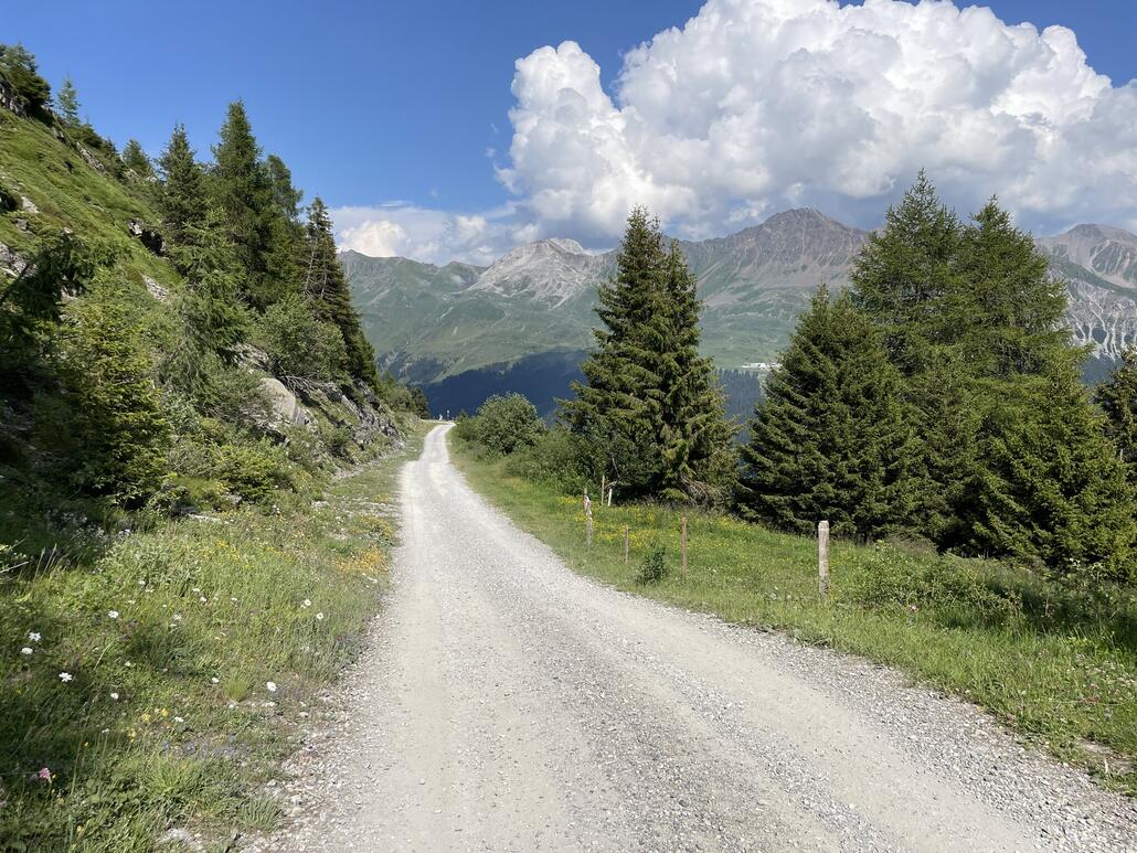 Von der Alp Nova führt eine Forststrasse zur Talstation des Lavoz-Sessels.