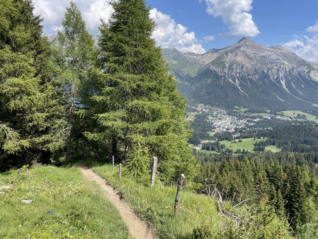 Ab hier verläuft der Weg grundsätzlich im Wald. Zwischenzeitlich ergeben sich aber schöne Ausblicke. Gross Aussicht geniessen ist jedoch nicht, das Fahren auf solchen Wegen erfordert ein hohes Mass an Konzentration.