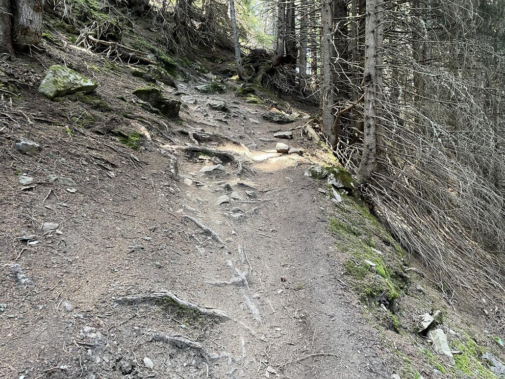 Immer wieder ist der Weg wirklich steil und forderte mir heute, am ersten richtigen Trailtag, einiges ab. Beim zweiten Mal wird das dann schon wieder deutlich besser gehen.