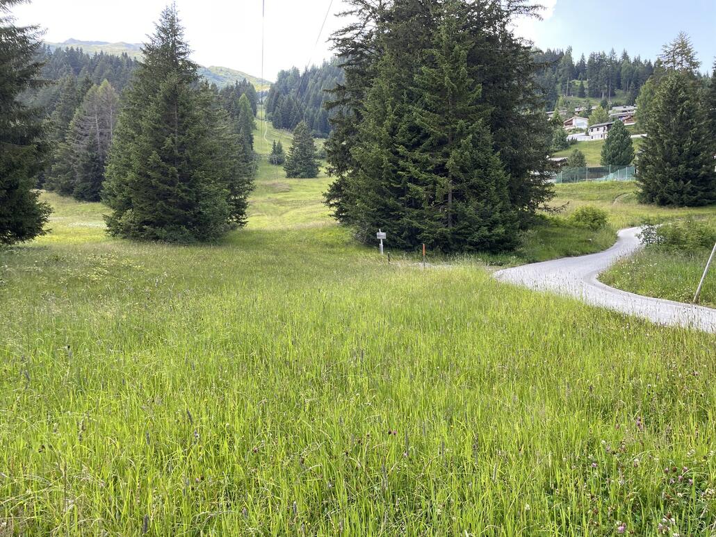 Über Sartons fuhr ich zur Rothornbahn. Auf dem Weg kreuzte ich den SL Valbella. Blick nach oben, dem Trasse entlang.