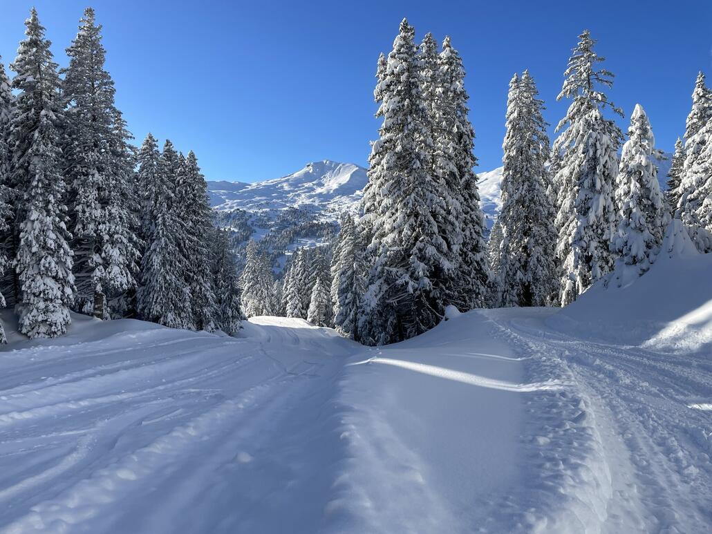 Gleicher Standort. Das Foto habe ich nach den sensationellen Schneefällen im Dezember 2023 aufgenommen.