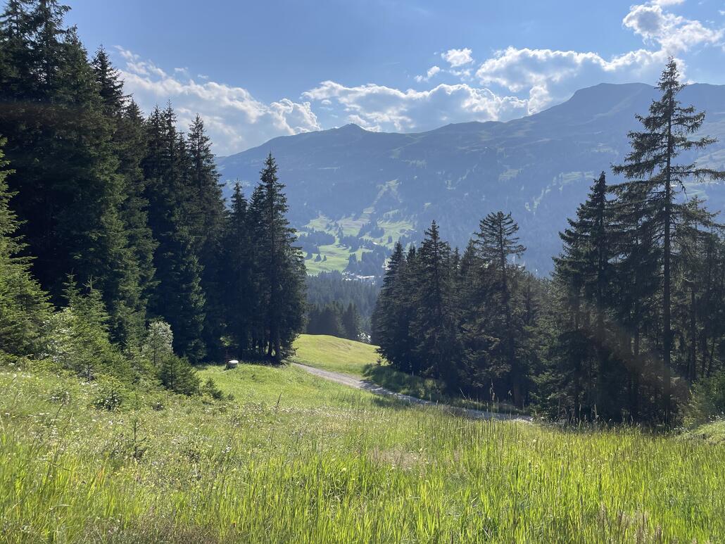 Im untersten Viertel der Abfahrt gibt es eine verdächtige Schneise.