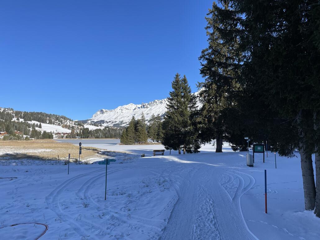 ...wenn man vor einem halben Jahr hier war.