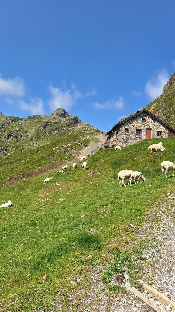 Start an der Dresdner Hütte