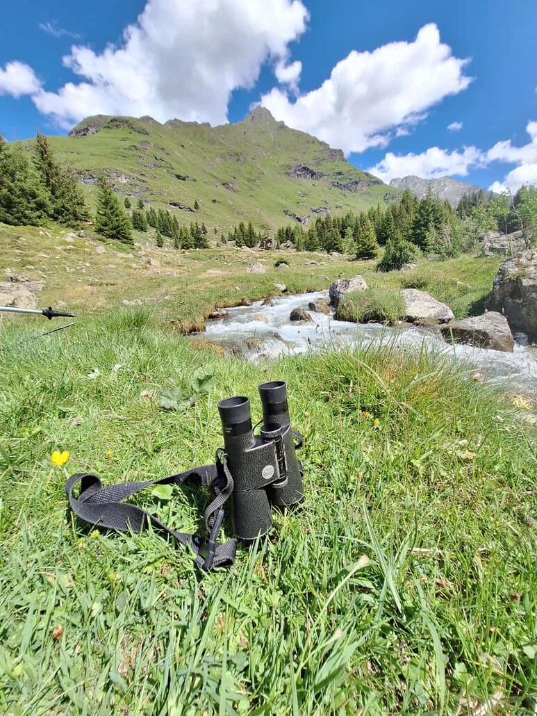Kein Wild in Sicht, ein kreisender Steinadler war das höchste der Gefühle