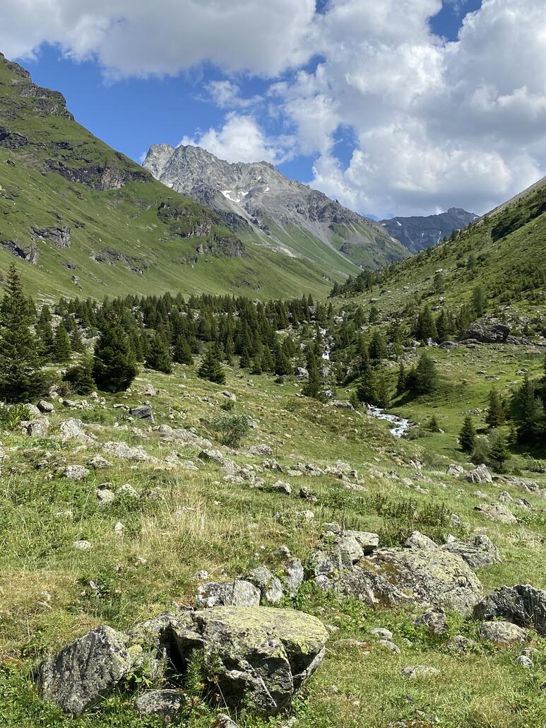 Wir hätten noch lange weiterlaufen können