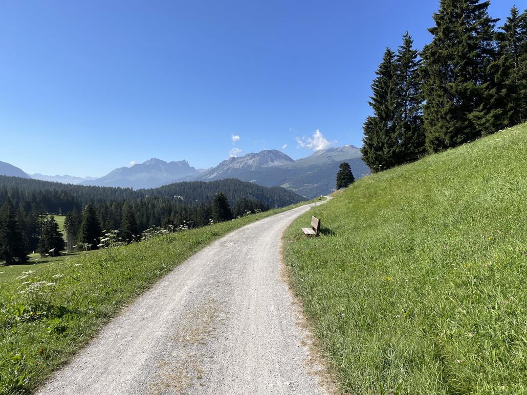 Kurz nach dem Campingplatz auf der Lenzerheide zweigt die gefahrene Route von der Strasse auf einen Forstweg ab. Die Sicht 'gen Süden gefällt mir. Zu erahnen ist das Schneedepot im Gebiet von Savognin in Form eines weissen Flecks.