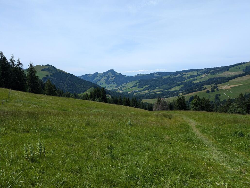 Abfahrt hinunter Richtung Charmey