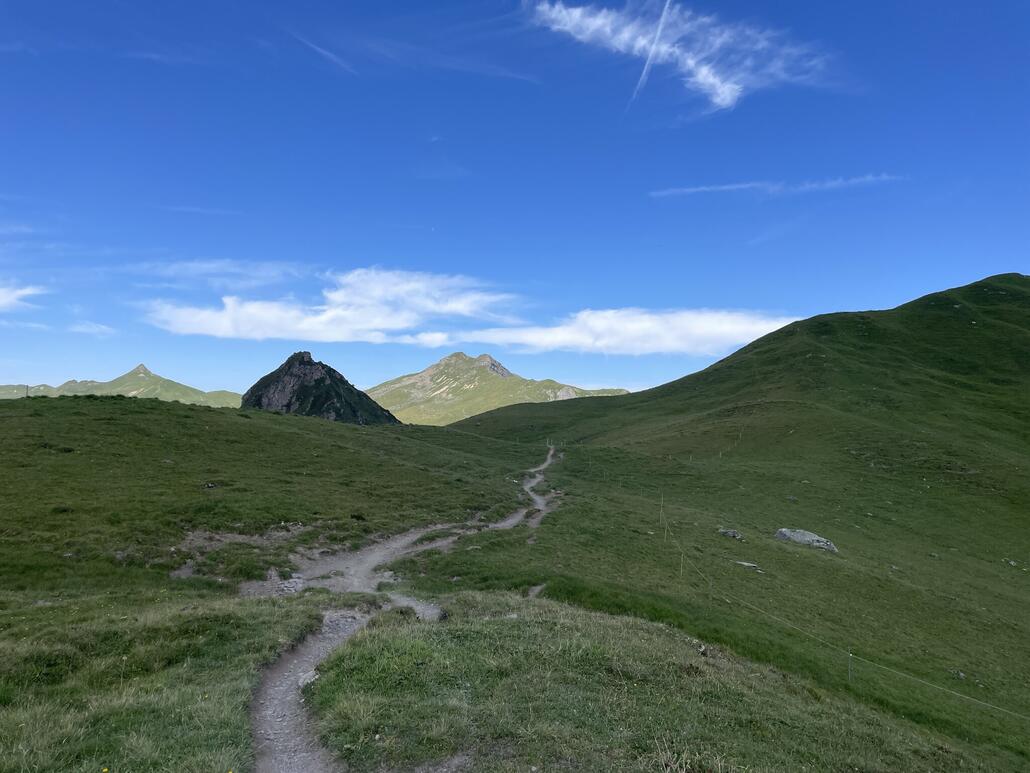7.JPG (451.36 KiB) 1695 mal betrachtet Ungefähr bei der Talstation des SL Kreuzweg zweigt der Weg nach links ab und bald gelangt man in Höhenlagen mit mehr Vegetation.
