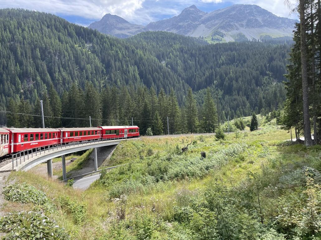 12.JPG (992.55 KiB) 1703 mal betrachtet Wir hatten Glück und. mussten nur etwa fünf Minuten warten. Auch schon verpassten wir den Zug um fünf Minuten. Denn der Zug ab Langwies fahrt "nur" einmal pro Stunde nach Arosa. Die Strecke ist top: Enge Kehren, Viadukte, Wälder.
