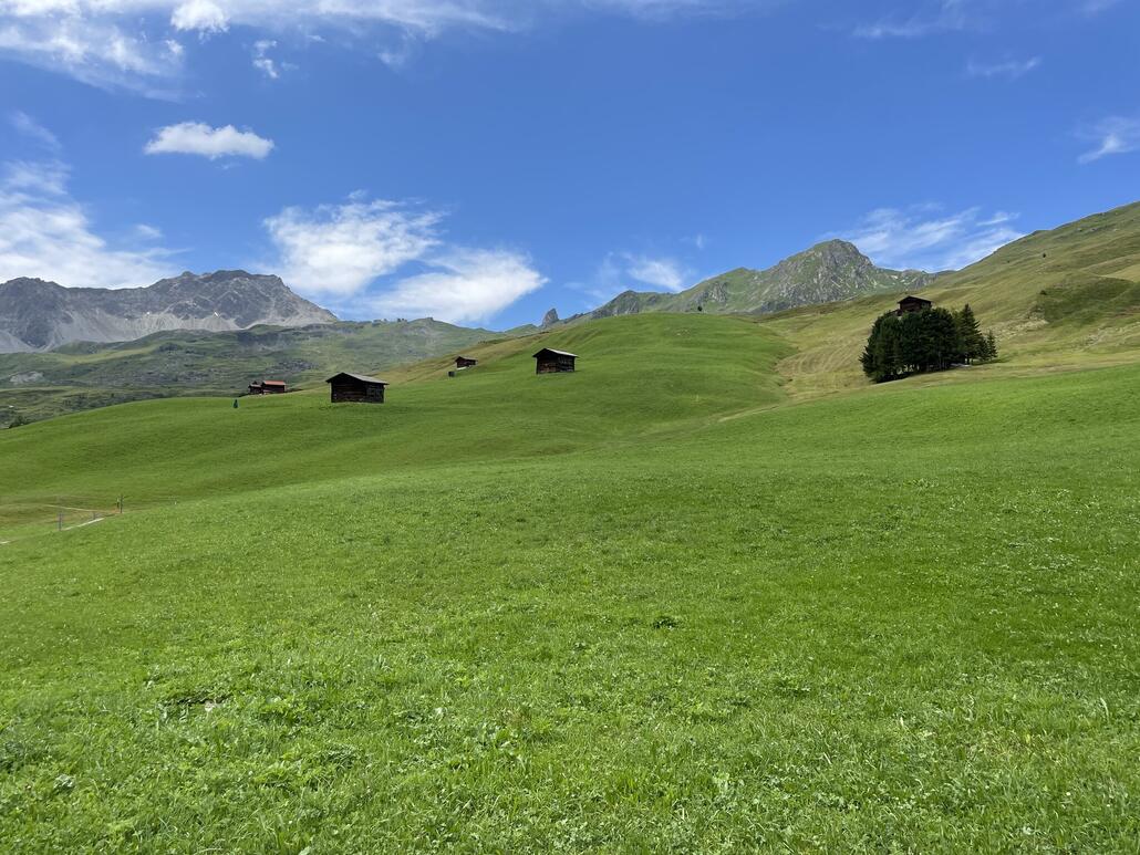 14.JPG (753.35 KiB) 1695 mal betrachtet Die sanfte Wiese ist im Winter...