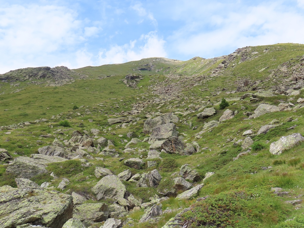 Auf diesem Grasrücken geht es von dort in 1 bis 1 1/2 Stunden zur Kalvanwand. Wer noch nie einen Dreitausender bestiegen hat, dem könnte man diesen Berg empfehlen.