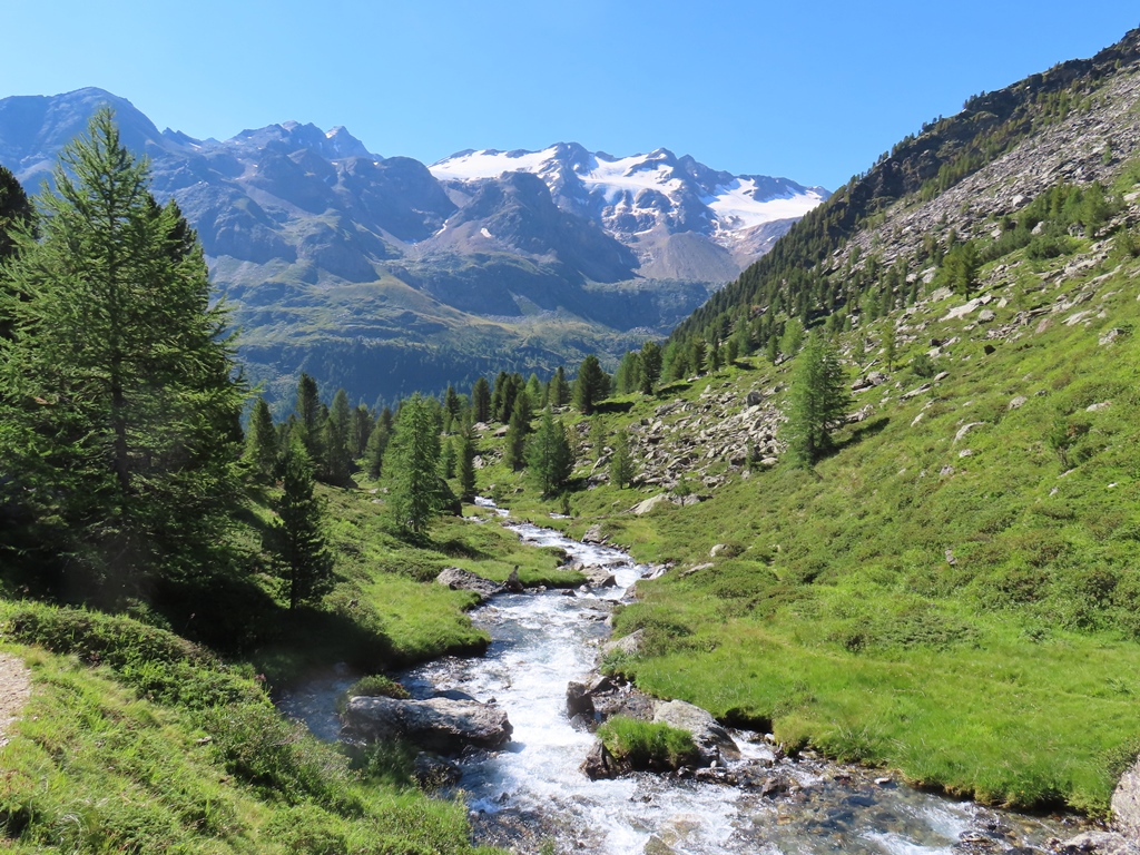 Nach einer dreiviertel Stunde Aufstieg erreicht man die Baumgrenze und hat einen Blick zu den Veneziaspitzen, wenn man sich umdreht.