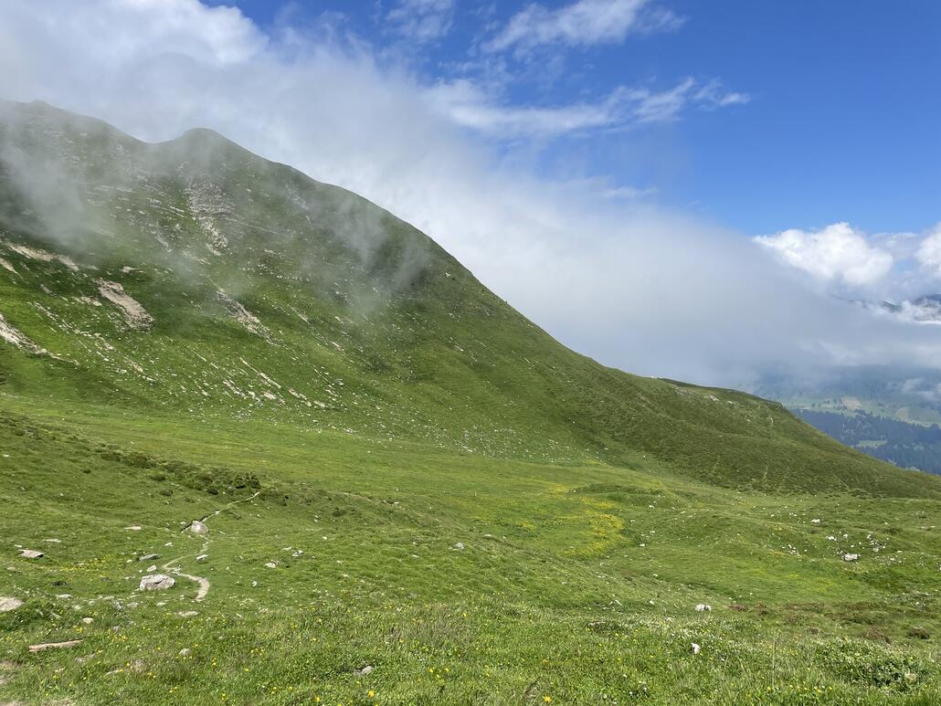Am Ende verläuft der Weg sehr abgeschieden. Ausser Murmelis trifft man hier niemanden mehr an.