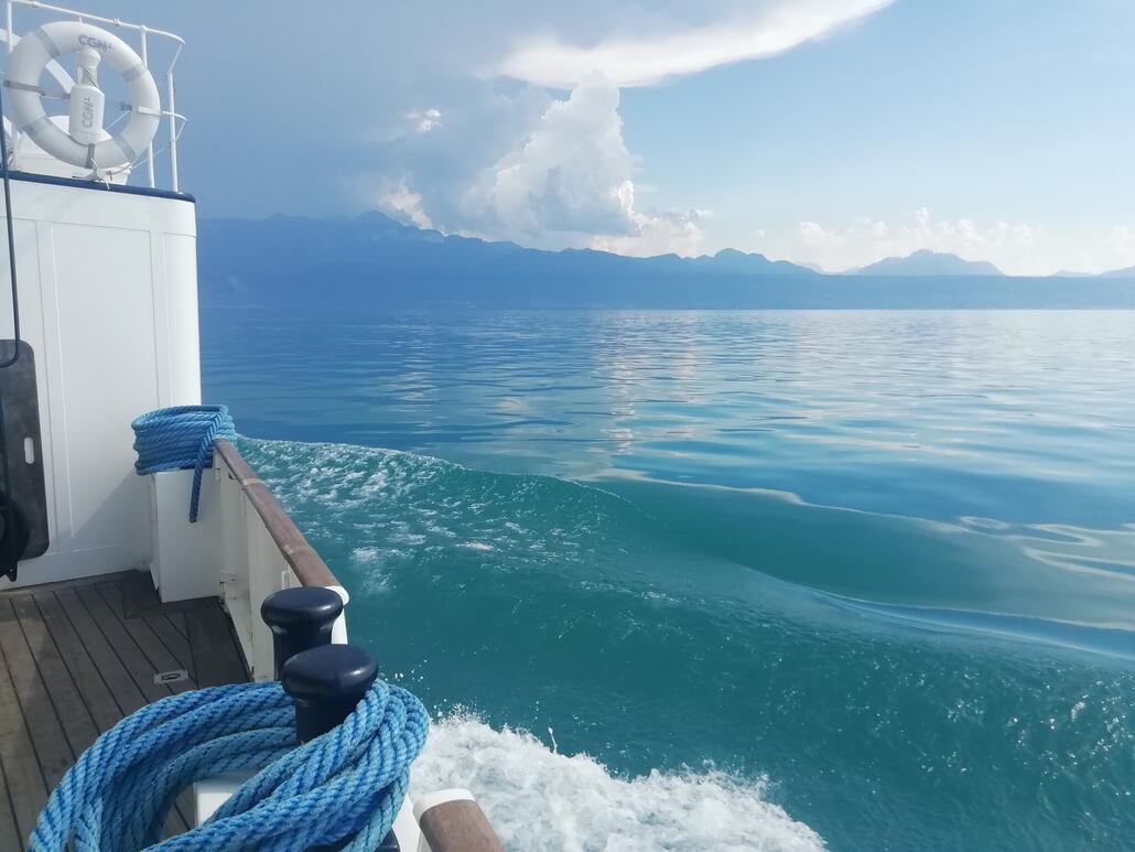 IMG_20240812_155831 (1).jpg