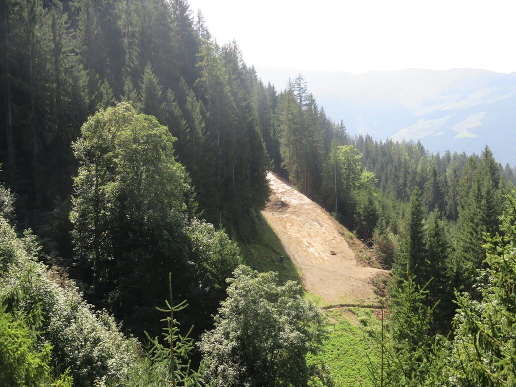 Oberhalb der Alten Mittl