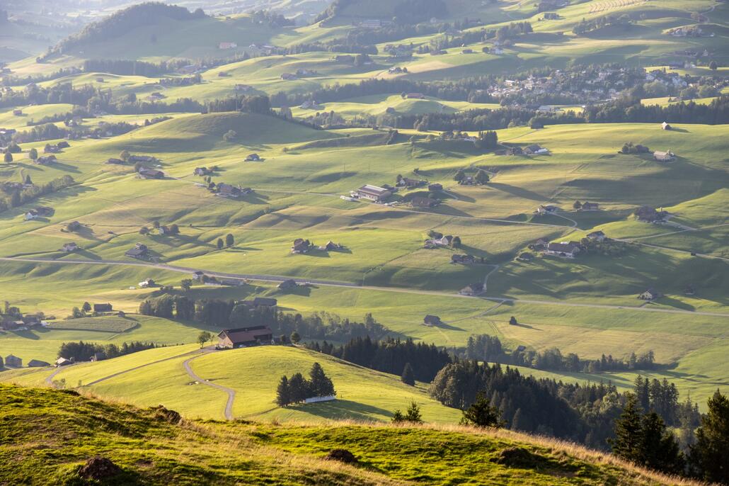 Appenzeller Land.