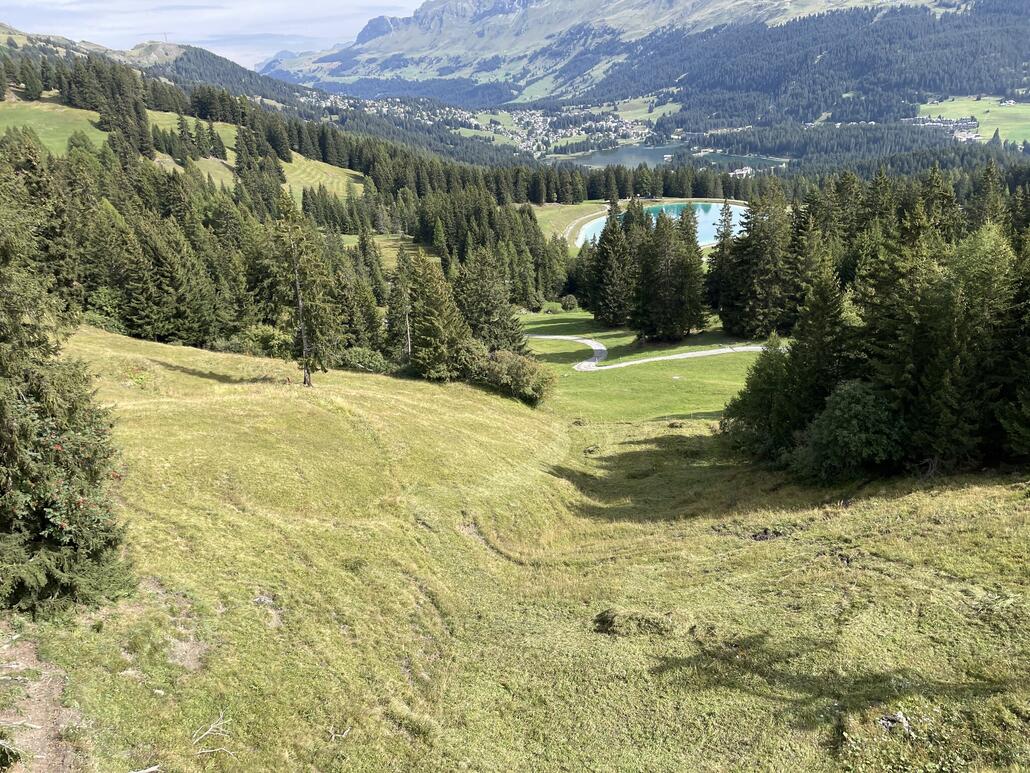 Die Unebenheiten/Löcher auf diesem Abschnitt werden modelliert.