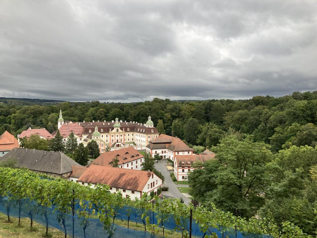 Kloster Maruenthal; der Wald dahinter ist schon in Polen